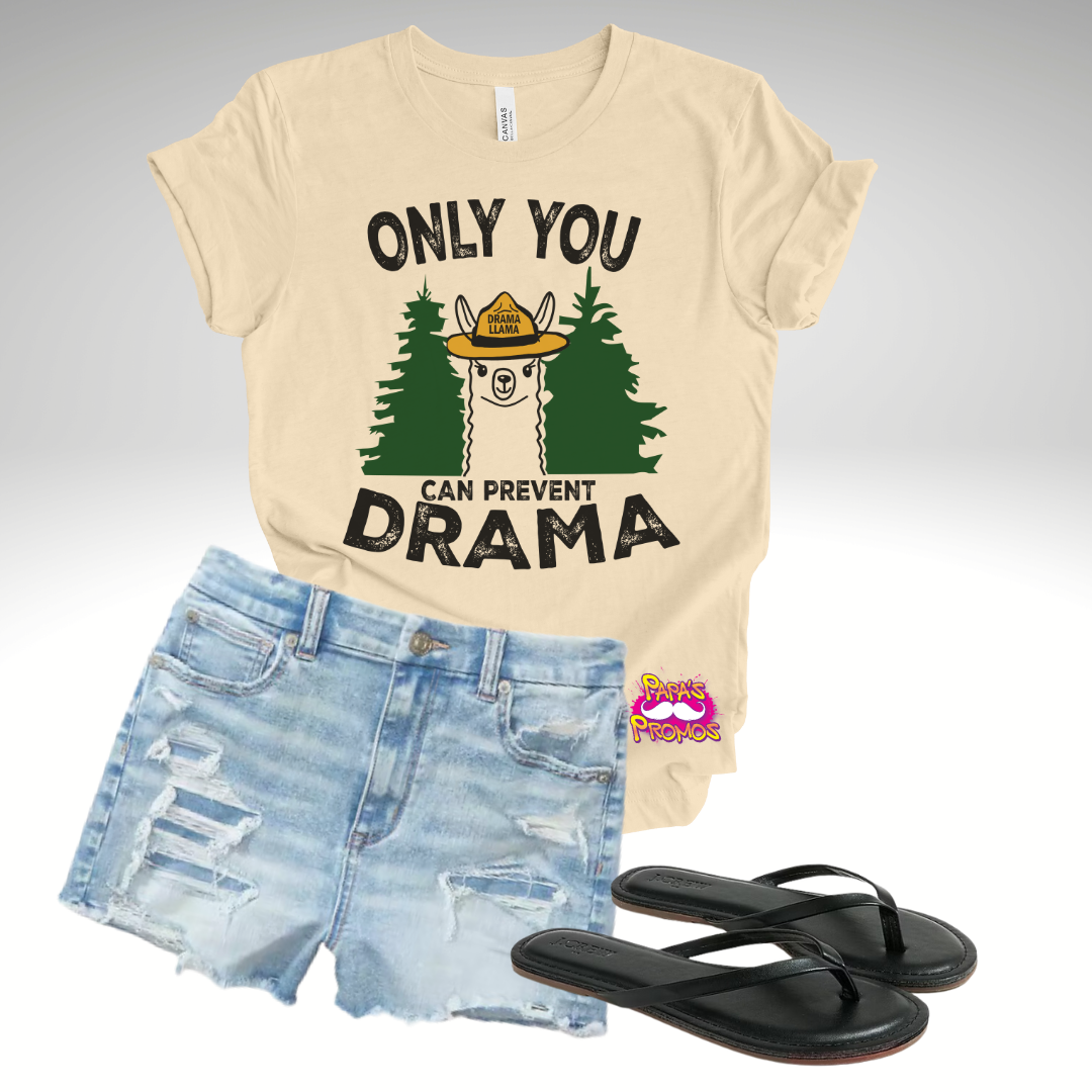 Only You Can Prevent Drama T-Shirt